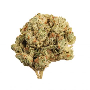 Chem De La Chem - Top shelf - Sativa