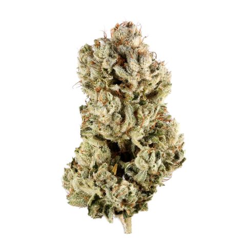 Gorilla Glue - GG4 - Top shelf - Indica - Sativa hybrid