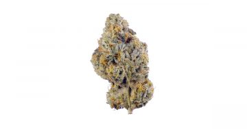 Garlic - Garlic Kush -  Top shelf - Indica hybrid
