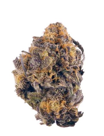 Ice Cream Cake - Exotic - Indica hybrid