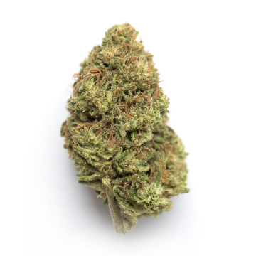 Fatso -  Top shelf - Indica hybrid