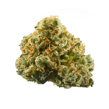 Pineapple Express - Exotic - Sativa Hybrid