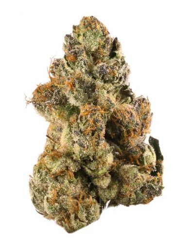 Gelato - Exotic - Indica-Sativa Hybrid