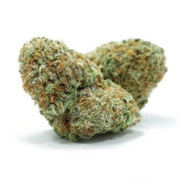 Mac 1 - Exotic - Hybrid