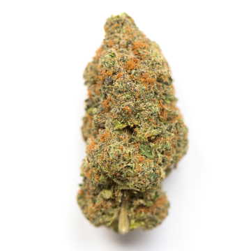 Strawberry Banana - Exotic - Hybrid