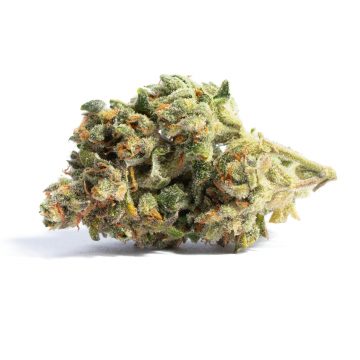 Acapulco Gold - Exotic - Sativa Hybrid