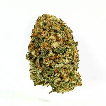 Sonoma Coma - Top shelf - Sativa