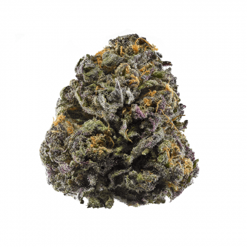Granddaddy Purple - Top shelf - Indica hybrid