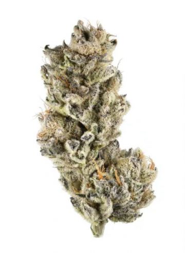 Purple Punch - Exotic - Indica hybrid