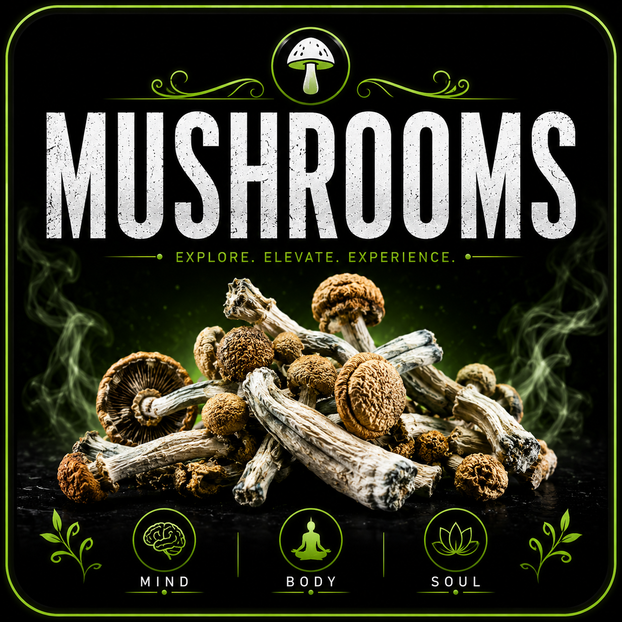 Shroons | Mushrooms | Psychedelic